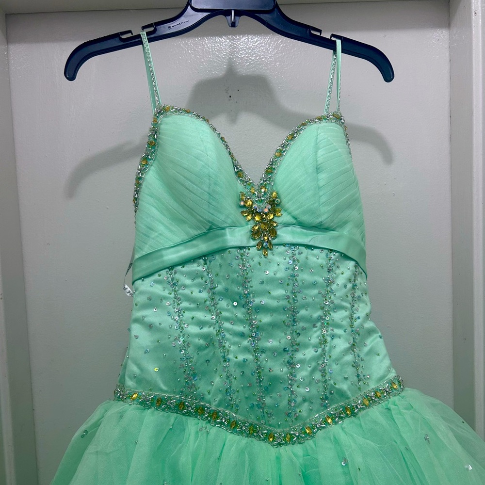 Quinceañera dress